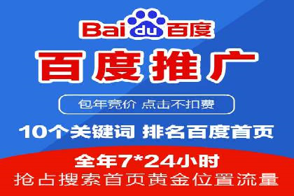 网络推广策略：竞价广告的实践案例